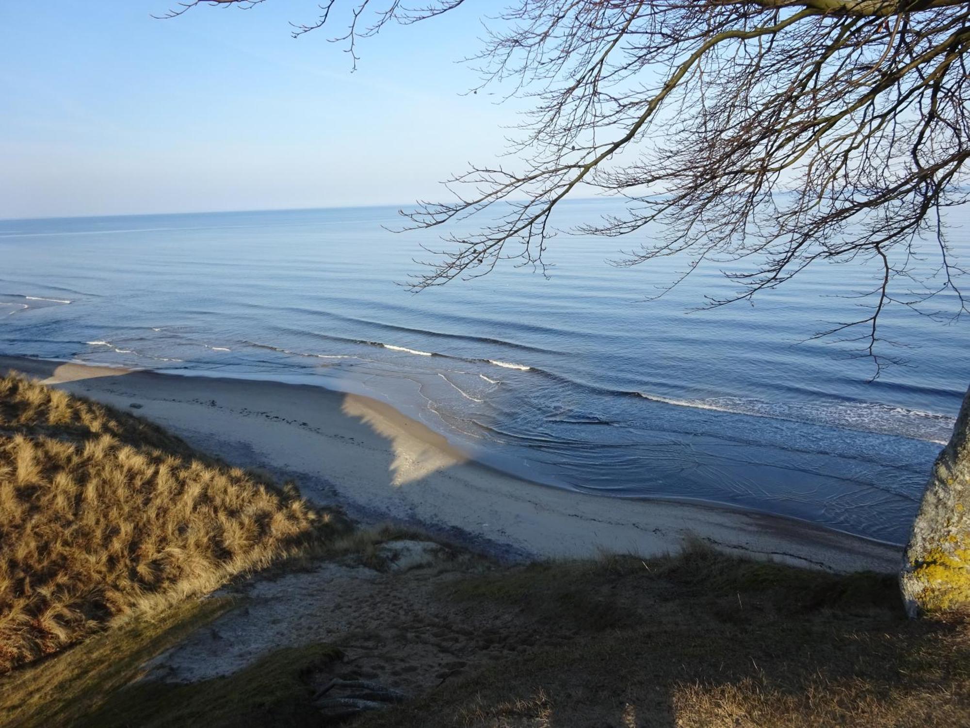Solrosen I Simrishamn - Oesterlen Εξωτερικό φωτογραφία